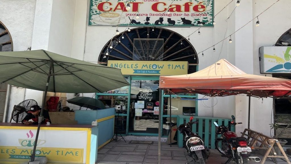 Angeles Meow Time Cat café & Restobar 1 angeles meow time cat cafe restobar