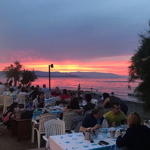 Buse Cafe 1 buse cafe