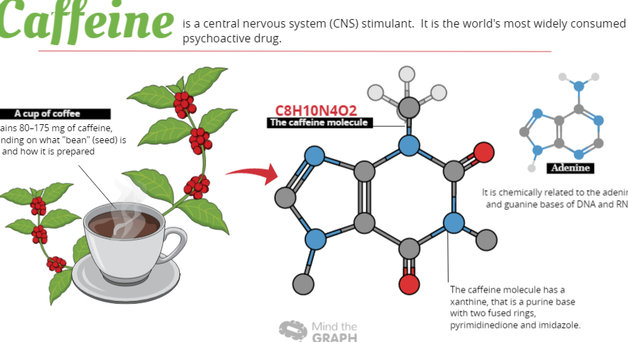Caffeine Centrale 1 caffeine centrale