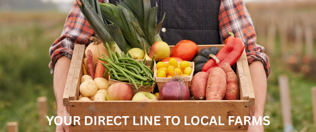 Crate - Healthy Food Hub 1 crate healthy food hub