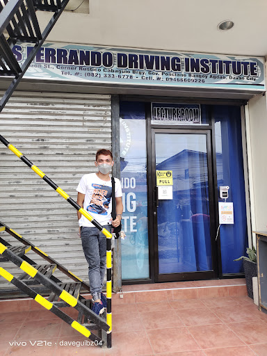 Ms. Ferrando Driving Institute