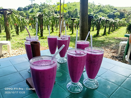 Mhy J's Refreshment & Dragon Fruit Farm