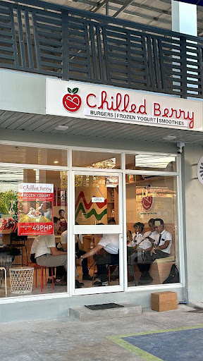Chilled Berry Froyo