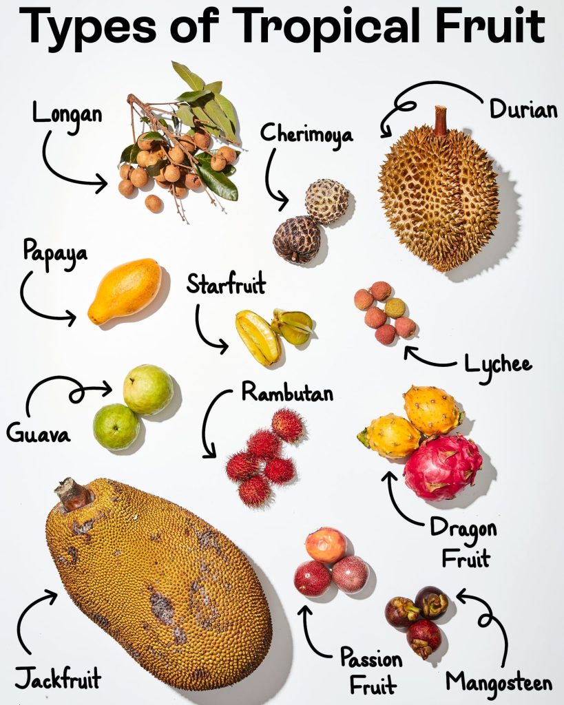 Tropic Fruit 1 tropic fruit