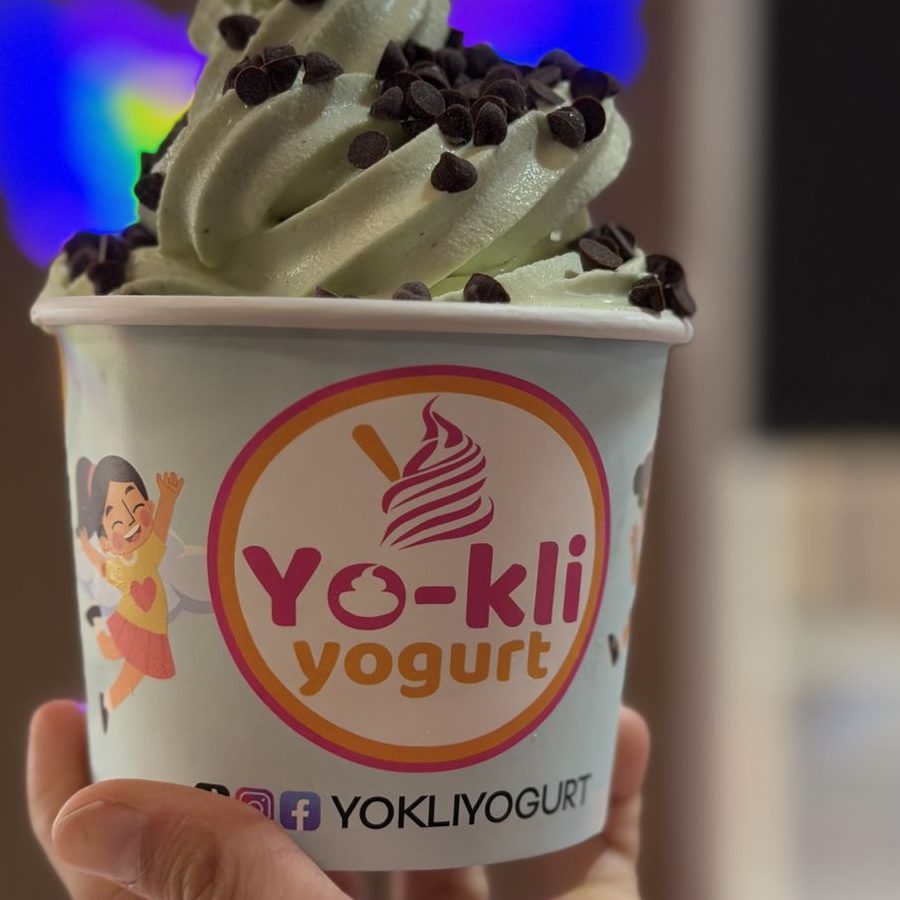 Yo Kiiing Frozen Yogurt Shop 1 yo kiiing frozen yogurt shop